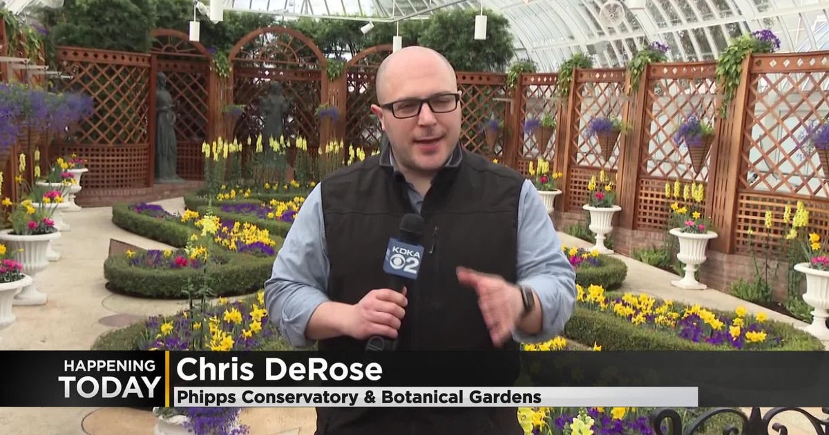 Spring Flower Show Open At Phipps Conservatory CBS Pittsburgh