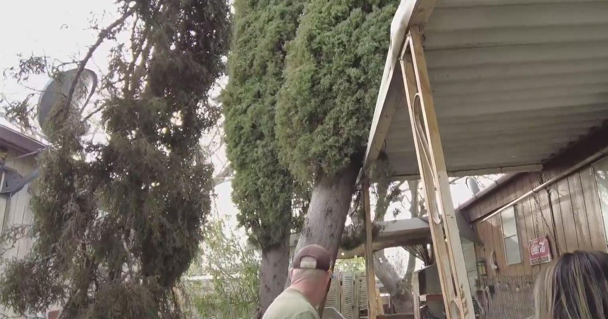 North Highlands man and ill wife fear tree may come crashing down on their home