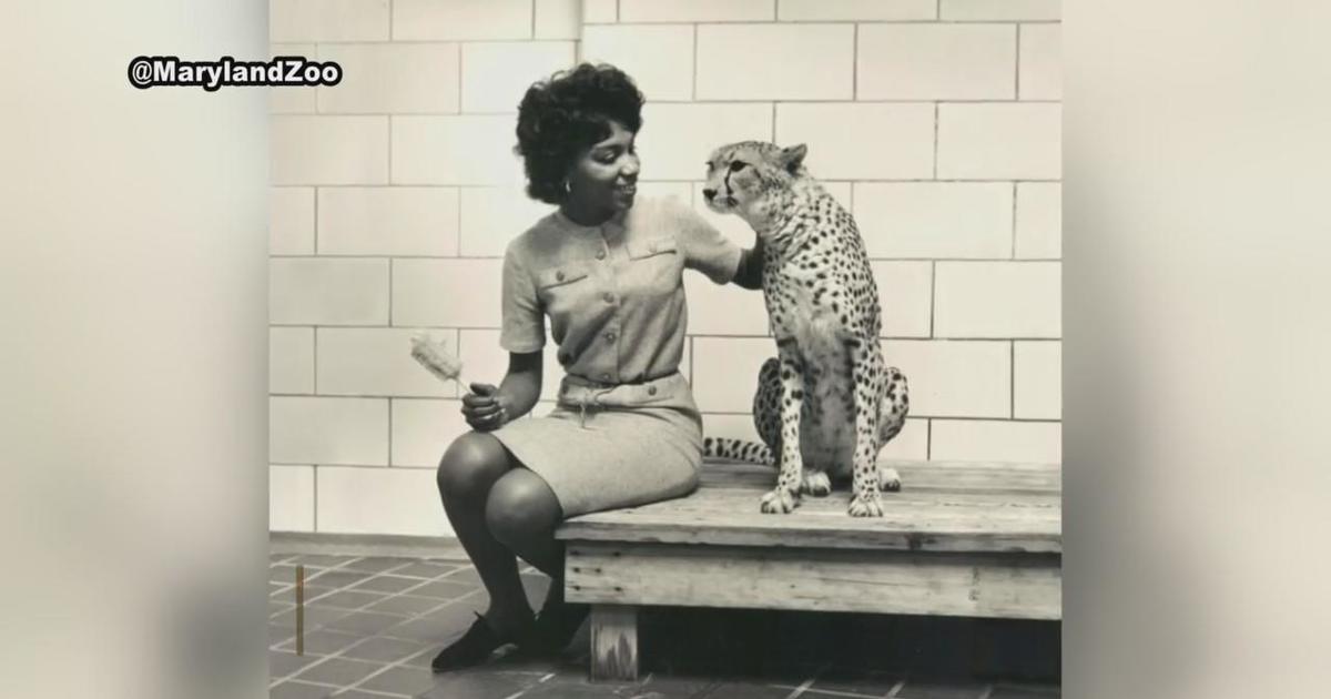 Maryland Zoo honors first female Black zookeeper through five-week internship