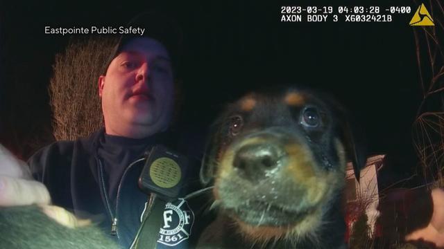 Firefighter holding a rottweiler puppy rescued from a burning house in Eastpointe Sunday morning 