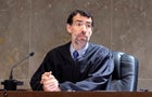 Georgia Election Investigation Juror 