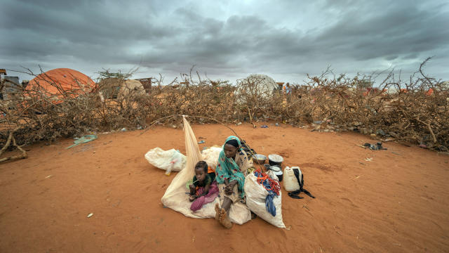 Somalia Drought Deaths 