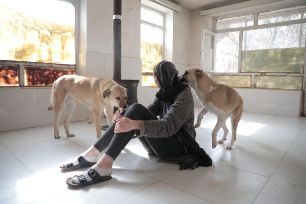 A picture of Charlotte Maxwell-Jones, the founder of Kabul Small Animal Rescue, and two dogs. 