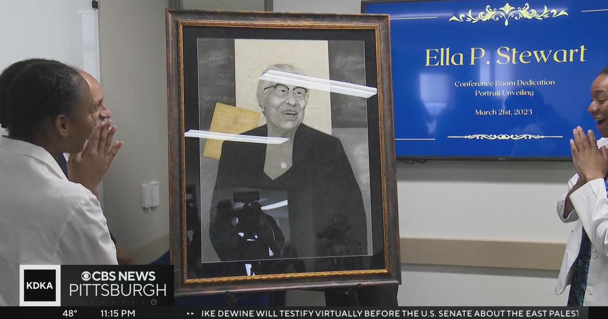 Pitt unveils portrait to honor state’s first Black woman pharmacist