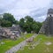 American tourist disappears while visiting ancient Mayan city