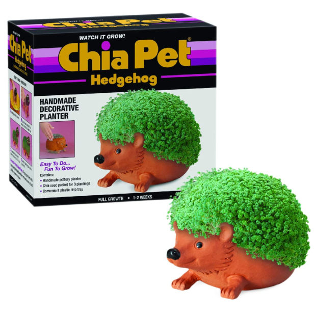 chia-pet-hedgehog.png 