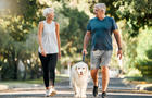 Retirement, fitness and walking with dog and couple in neighborhood park for relax, health and sports workout. Love, wellness and pet with old man and senior woman in outdoor morning walk together 