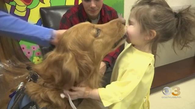 cbs-pet-project-the-unique-bond-between-dogs-and-humans.jpg 