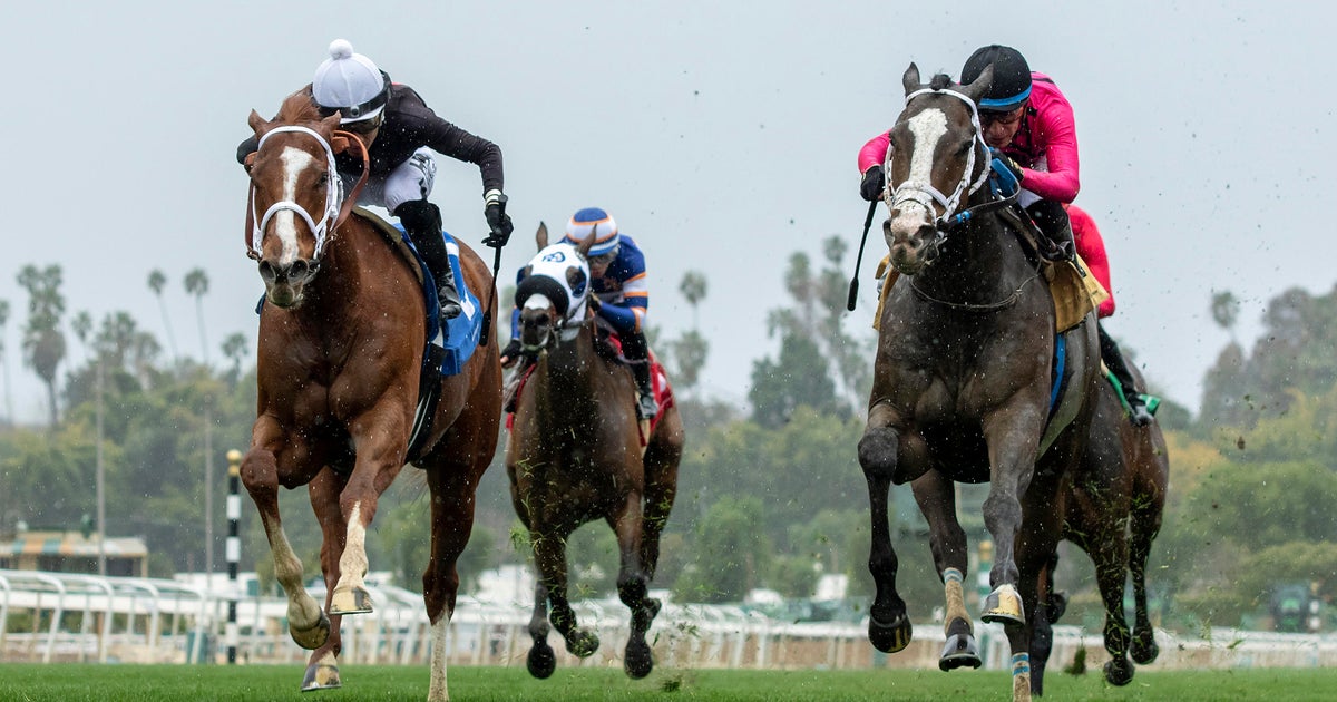 Horse racing's national anti-doping program starts Monday - Vimarsana News