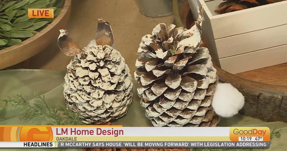 Easter Bunny Spring Event this weekend! Good Day Sacramento