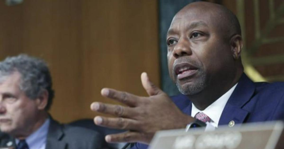 Senators grill top regulators on bank failures, oversight concerns