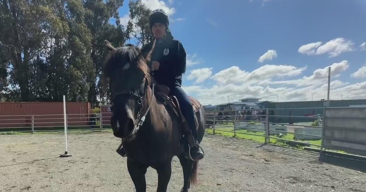 Saddling up: Napa students learn life lessons in therapeutic horseback riding program - Vimarsana News