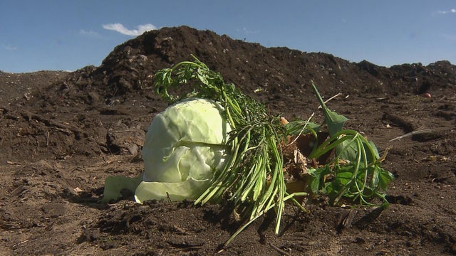 composting-changes.jpg 