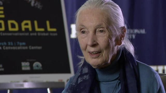 jane-goodall-raw-3-31-23.jpg 