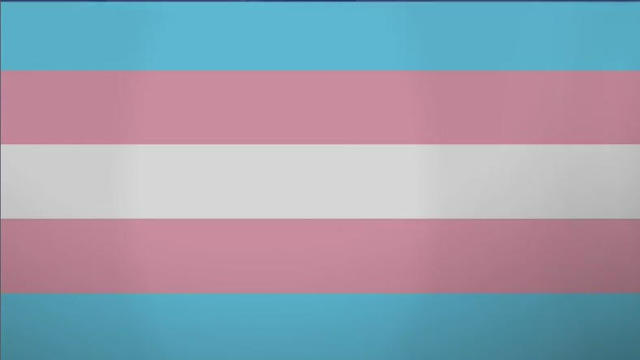 transgender-flag.jpg 