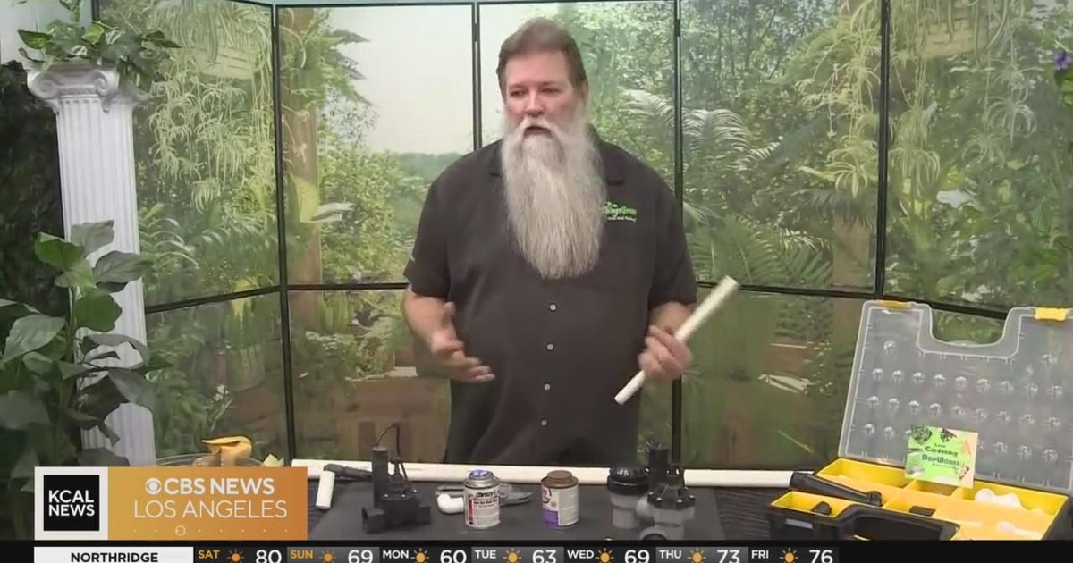 In the Garden the ABC's of irrigation CBS Los Angeles