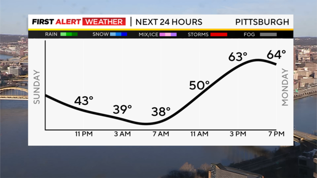 next-24-hours-temp-line-weather-bars-camera.png 