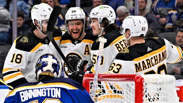 Bruins celebrate a goal 