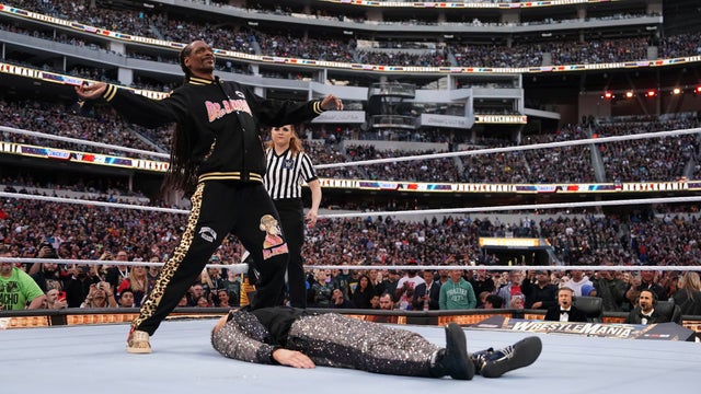 WrestleMania Celebrities 