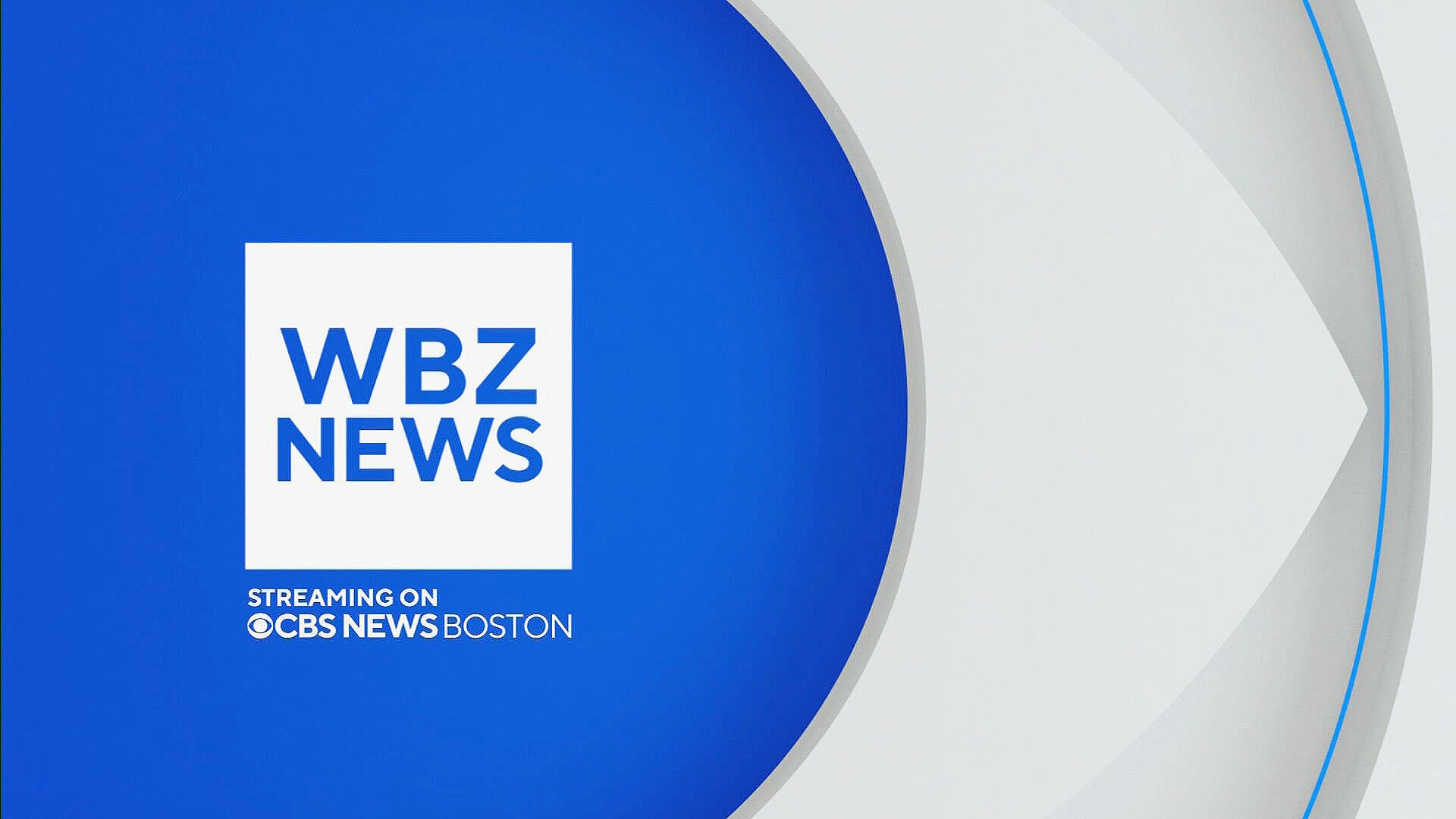 Wbz 4 sales