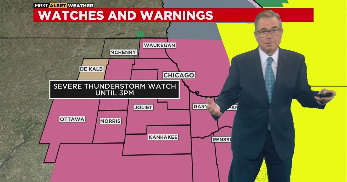 Chicago Weather Alert: Watches, warnings in effect for parts of ...
