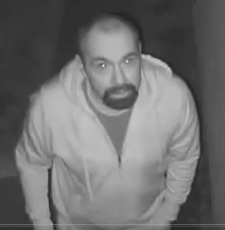 Davis Peeping Tom Suspect 