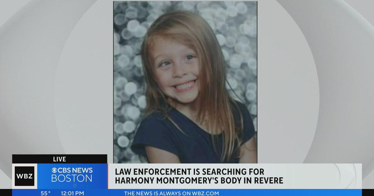 Harmony Montgomery Search Leads Investigators To Revere Wetlands - CBS ...