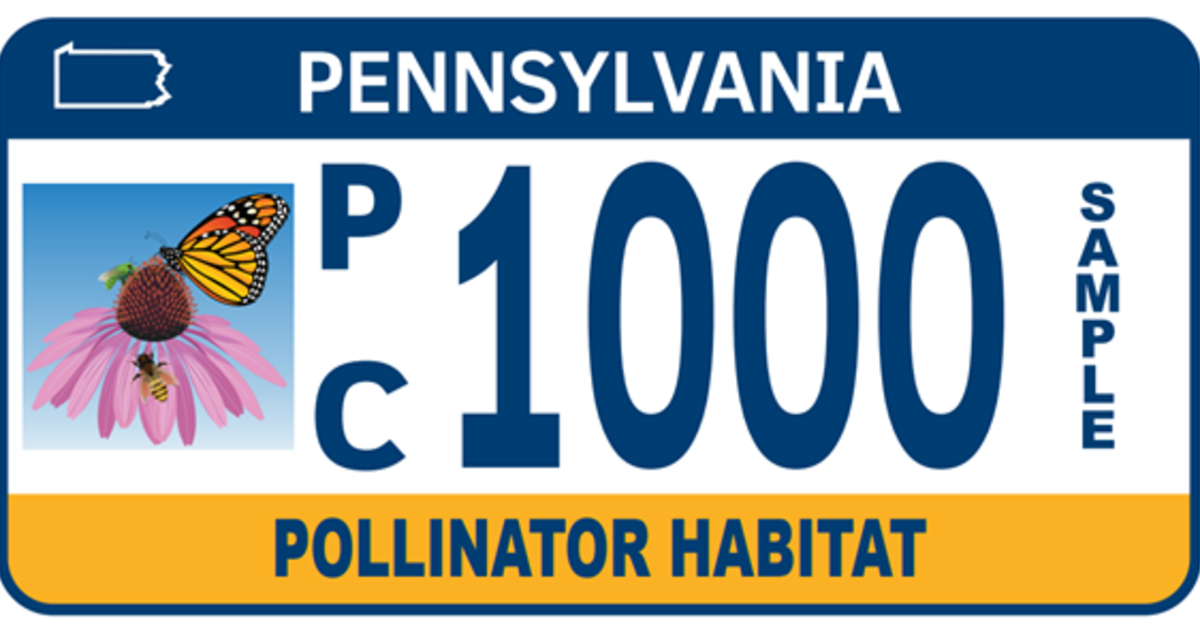 New Pennsylvania license plate raises awareness for plants and pollinators