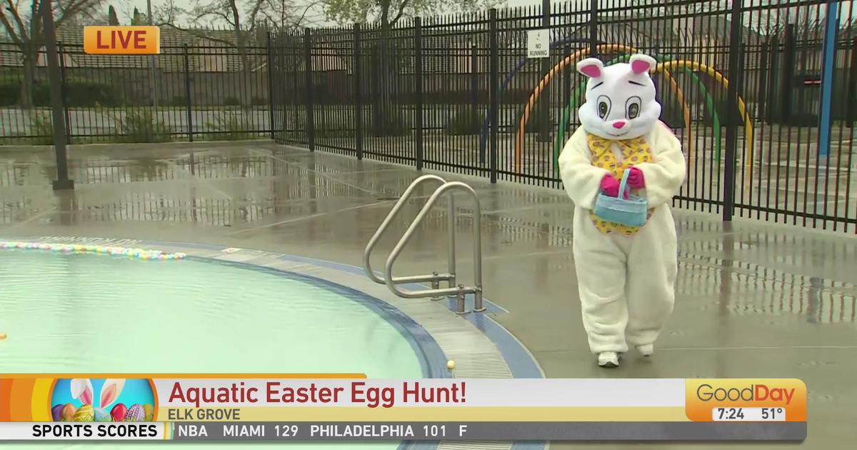 Aquatic Easter Egg Hunt Good Day Sacramento