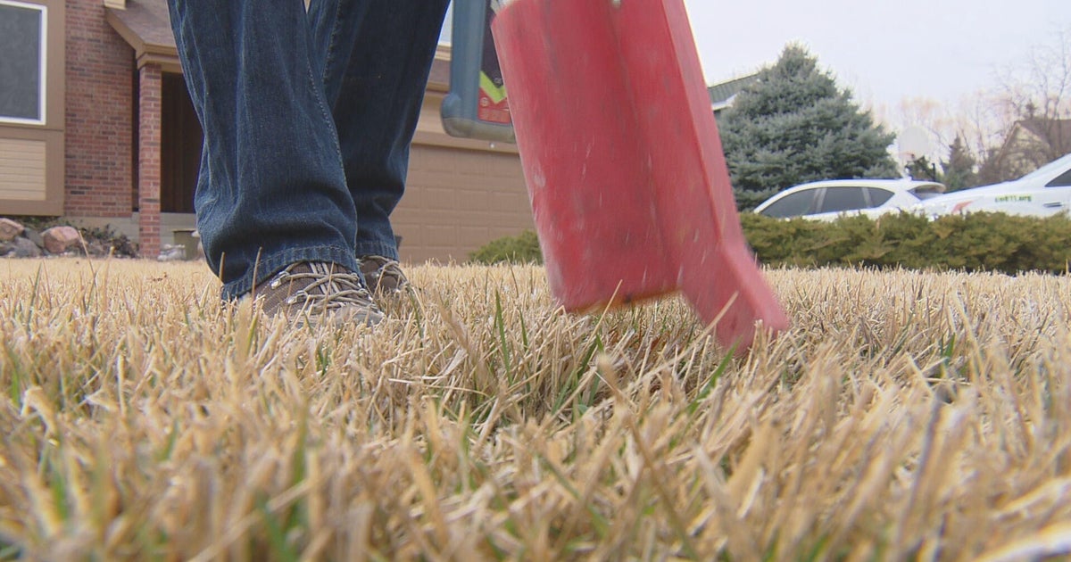Xcel Energy reminds Coloradans to call 811 before digging CBS Colorado