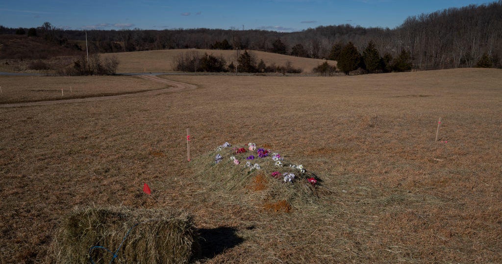 To help the Earth, some people are getting buried like it's 1860 - Vimarsana News