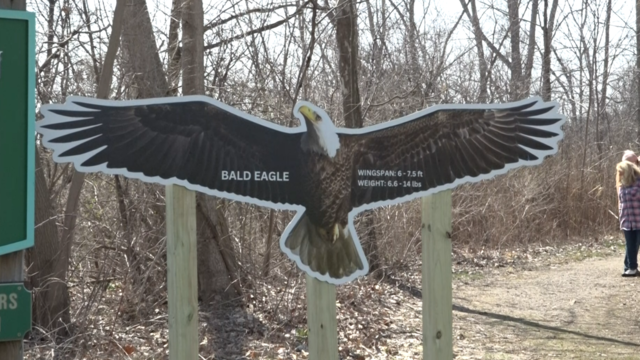 eagle49.png 