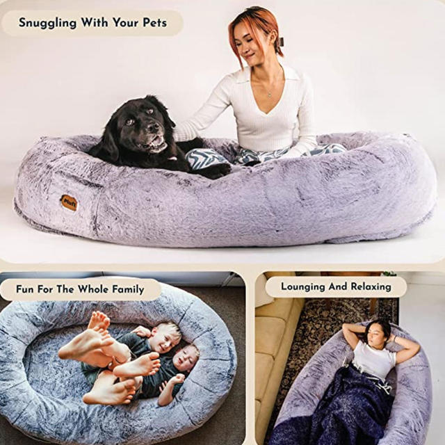 21 NCAA / MVP Dog Bed ideas  dog bed, mvp, comfortable dog beds