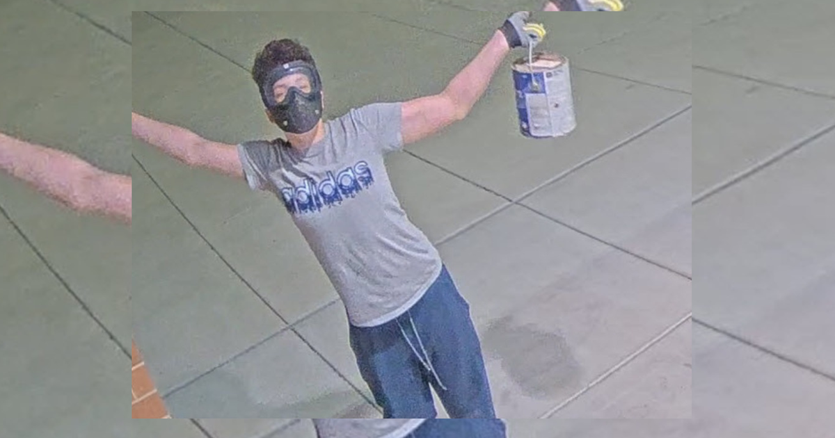 Anne Arundel County school officials seek pubic assistance finding serial vandal - Vimarsana News