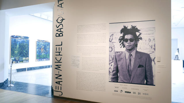 Basquiat Art Investigation 