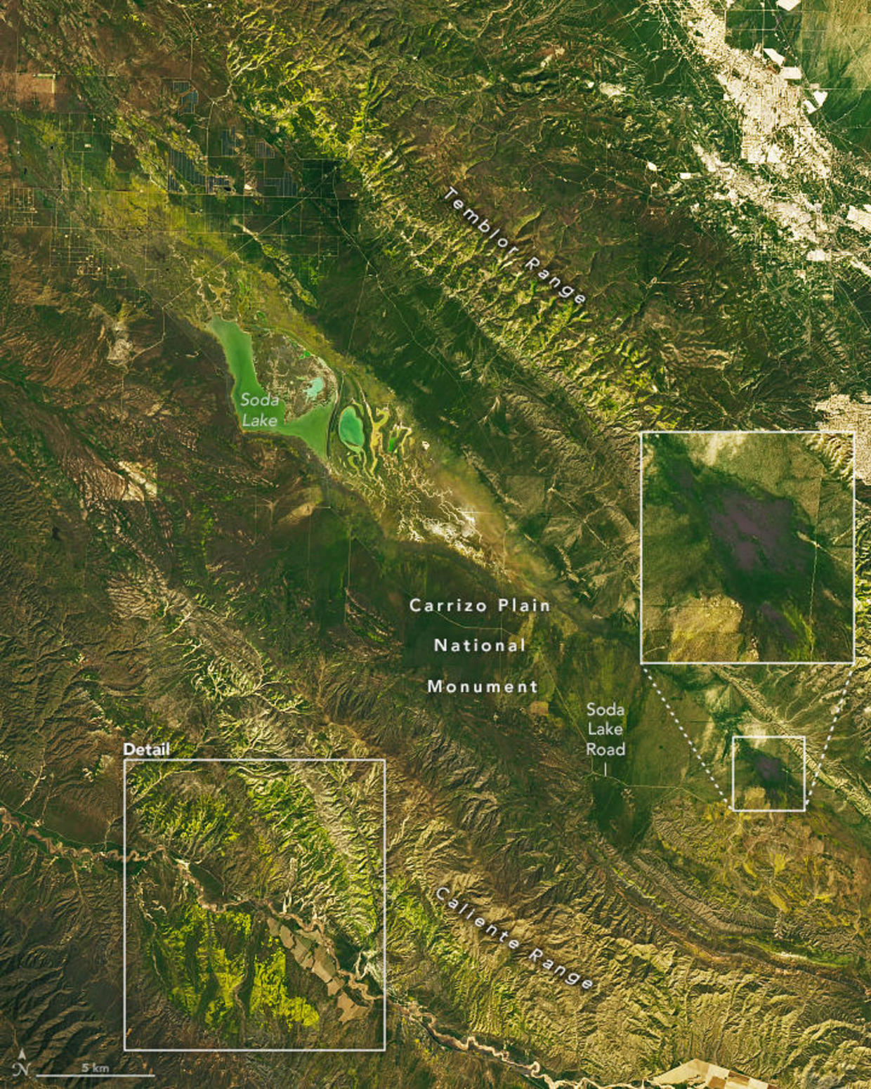 California's superbloom is so big and bright, it can be seen from space