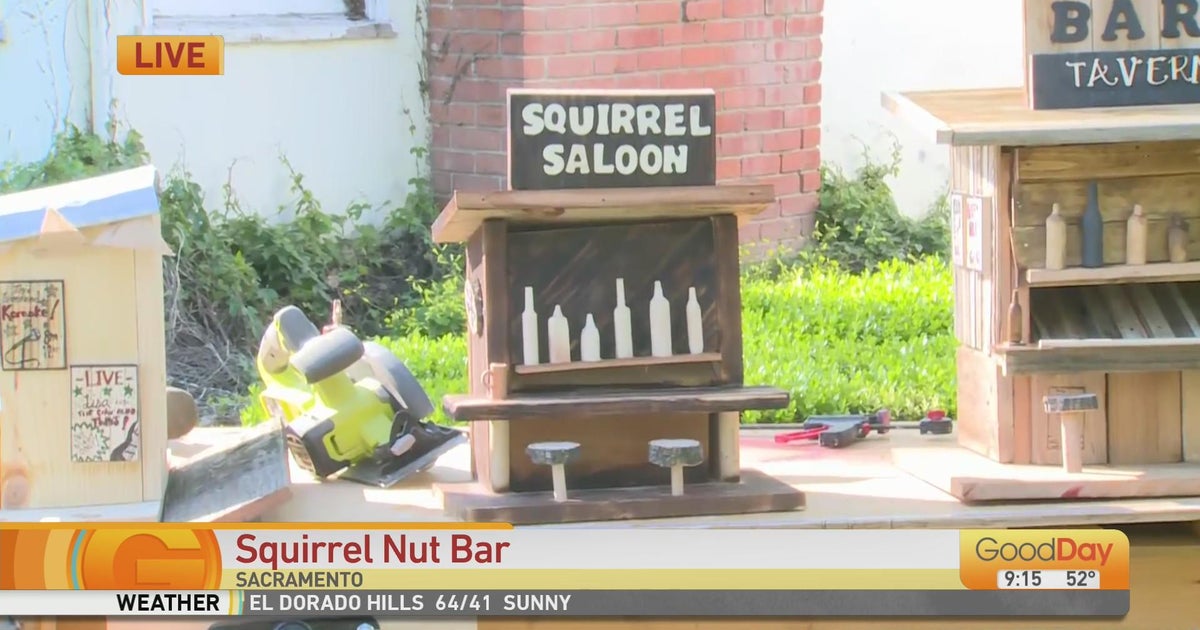 Squirrel Nut Bar Good Day Sacramento