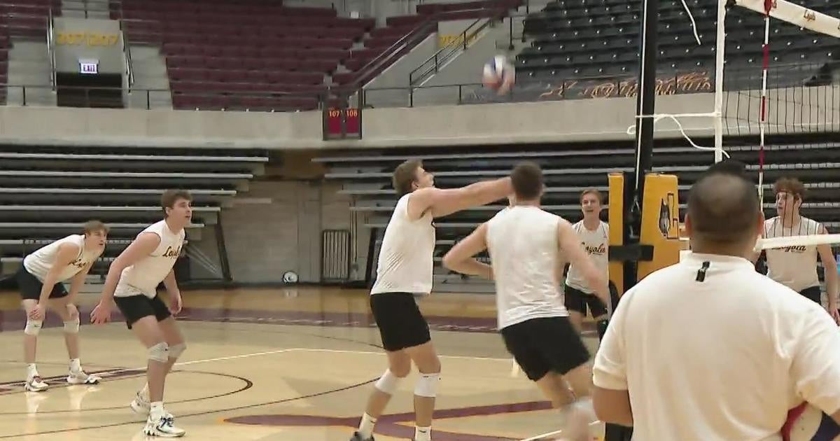 Loyola Men's Volleyball Team Looks To Get Back To NCAA Tournament ...