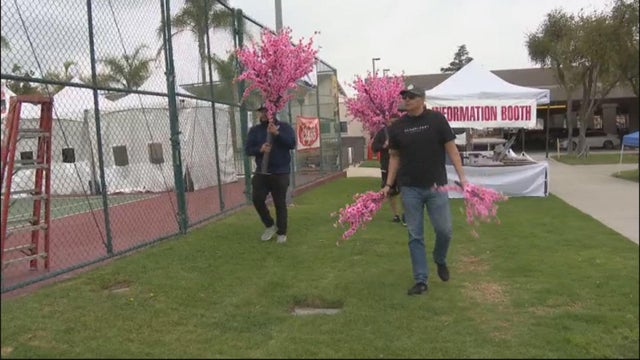 monterey-park-cherry-blossom-festival.jpg 