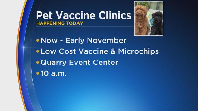 pet-vaccinations.jpg 