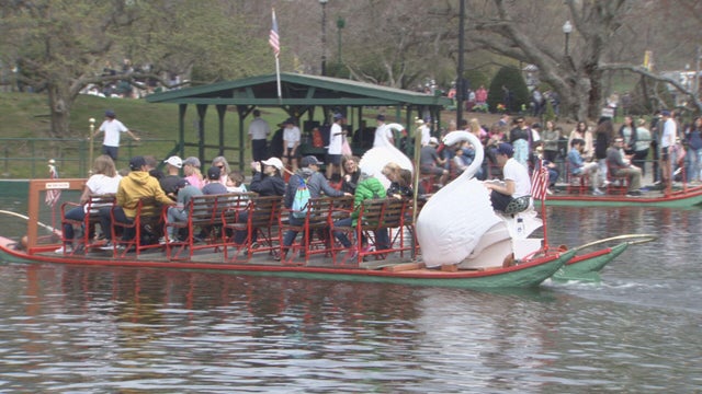 xdraw-swan-boats-boston-public-garden-1-frame-2354.jpg 