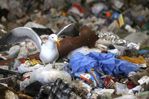 Concerns Grow Over Pandemic Related Plastic Pollution 