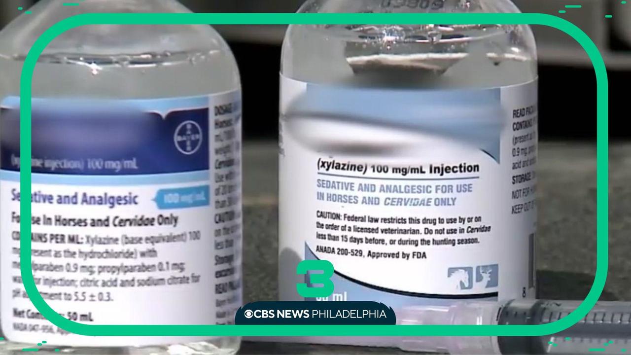 New street drug Xylazine is made as a muscle relaxer for horses-Fox 2 News  — Michigan Poison Center