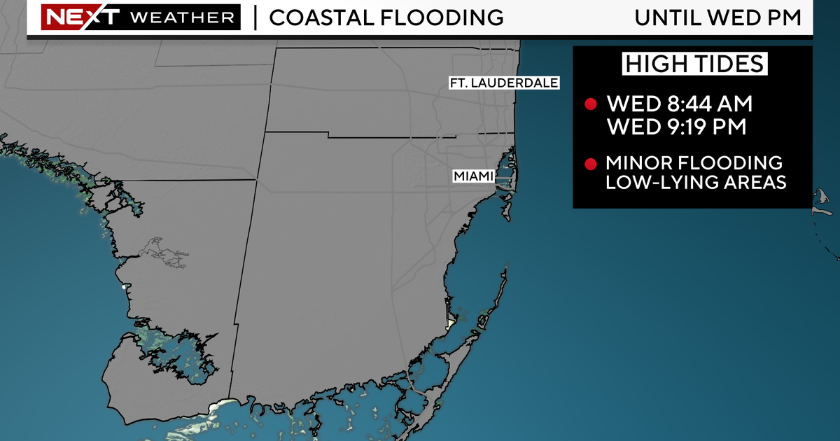 Miami Weather conditions: Mostly sunny, seasonal higher tides may well sluggish drainage together coastline