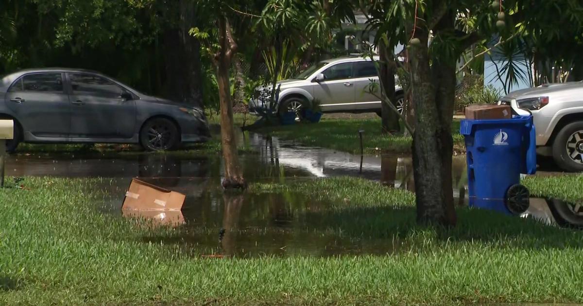 Significant microorganisms levels detected in waters close to flooded parts in Fort Lauderdale