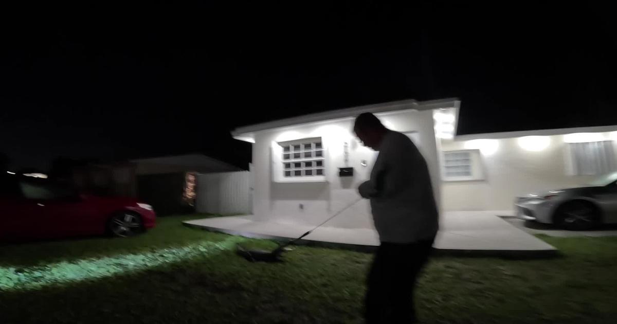 Five-foot gator hauled away from Cutler Bay home’s front porch