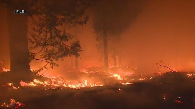 Record rain could mean a higher risk for fires this year 