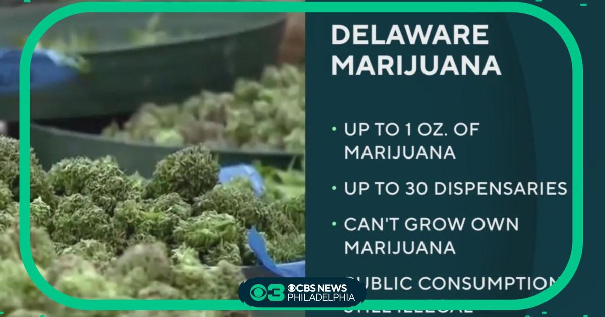 Weed is legal in Delaware, so what can (and can't) you do? - WHYY