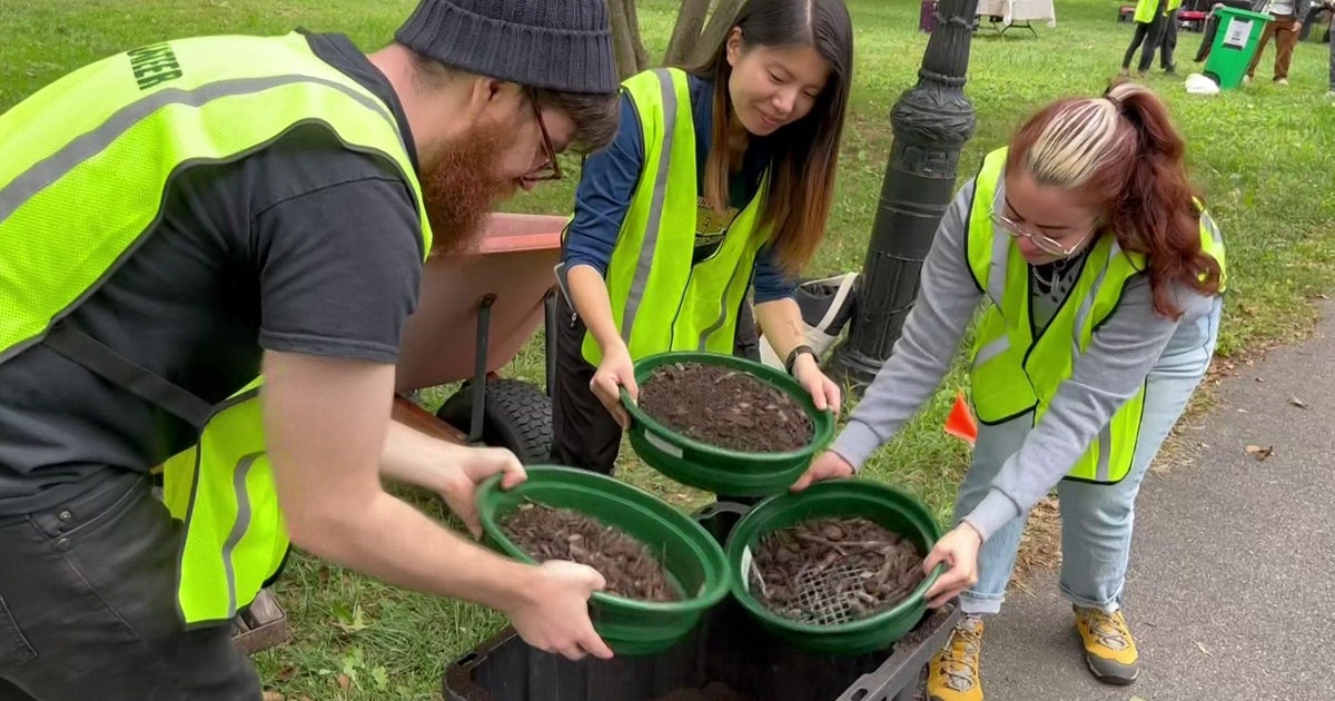 Earth Day 2023: Berry bash, Climate cruise and other ways to celebrate around NYC - Vimarsana News
