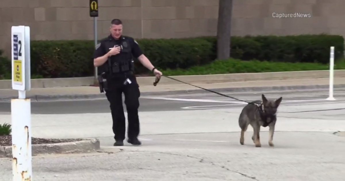 Police investigate possible robbery at Northbrook Court mall CBS Chicago Police investigate possible robbery at Northbrook Court mall CBS Chicago